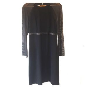 Talbots black dress with sheer sleeves